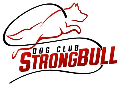 MINI STRONGBULL 11.5.2024